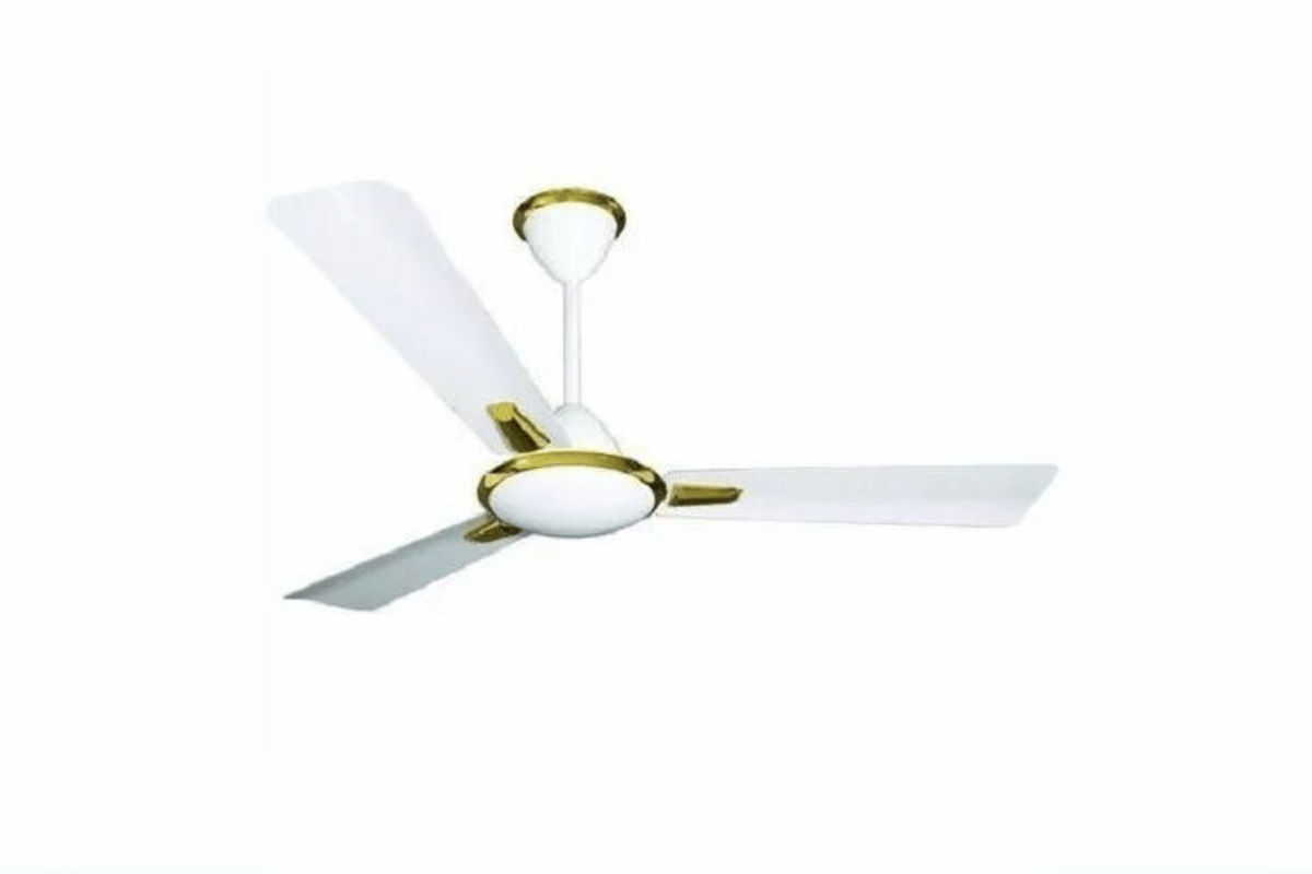 electric ceiling fan