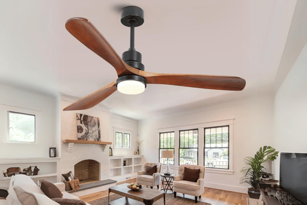 electric ceiling fan