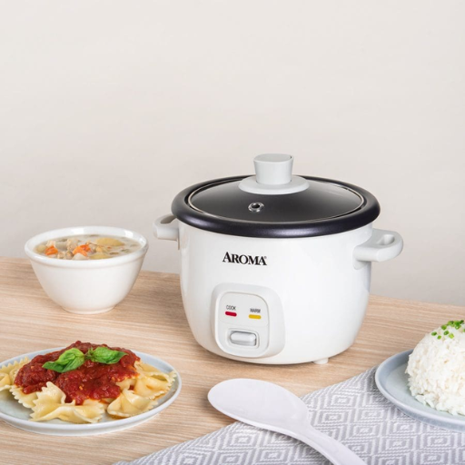 Electric Cooker vs Gas Stove: Which is Better?