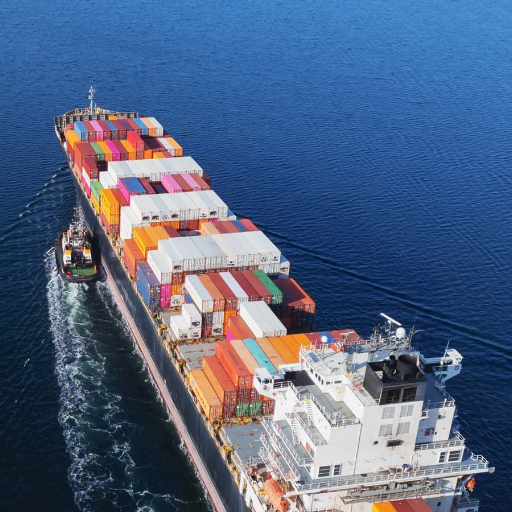 Overview of Blue Water Importers